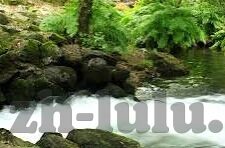 大象传媒视频网站-大象传媒视频网站，重塑数字娱乐的巨象之舞
