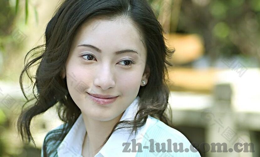 大象传媒视频在线-探索大象传媒视频在线的多元化内容与影响