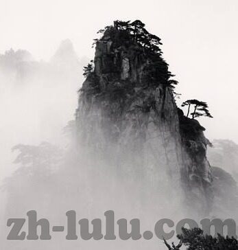 大象传媒在线入口-探索大象传媒在线入口，数字时代的文化桥梁