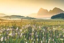 国产-大象视频-国产大象视频，文化自信与技术创新并进的视频新势力