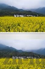 国产糖心vlog传媒多乙-探寻国产糖心Vlog传媒中的多乙现象，一种新兴视界下的年轻媒介实践