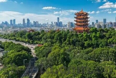 国内精品久久久中文字幕-国内精品影视新风尚，久久久中文字幕的魅力探索
