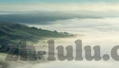 麻豆传媒阿宾-走进麻豆传媒背后故事，阿宾的创业与坚持