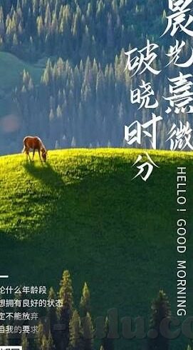麻豆视频免费网站-麻豆视频免费网站，网络流量下的免费背后