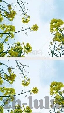 日韩av麻豆精品-探索日韩AV界中独特魅力的麻豆精选