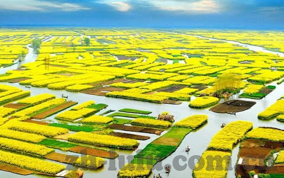 糖心app免费-糖心巧遇，一段无价的免费体验之旅