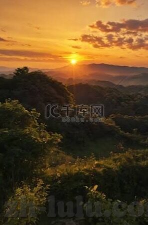糖心官网在线播放-一篇深入探讨糖心官网及其在线播放功能的利与弊