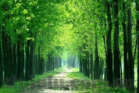 糖心视频app安卓下载-拥抱生活多彩，糖心视频APP的安卓享受