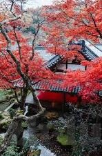 糖心vlog网站地址在线-多彩vlog世界，糖心vlog网那些不为人知的精彩瞬间