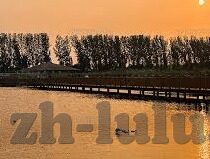 在线观看中文字幕亚洲视频-探索多元文化视角，在线中文字幕视频的魅力